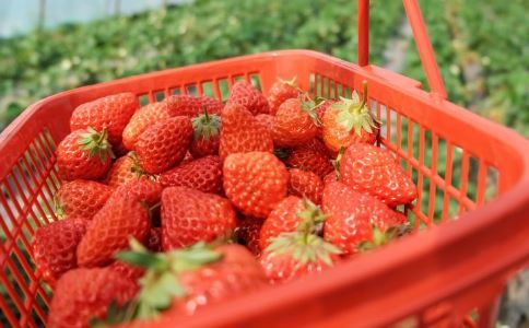 蓮霧有什么營(yíng)養(yǎng)價(jià)值 蓮霧有哪些食用功效 蓮霧有什么藥用價(jià)值
