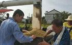 磚家建議恢復農(nóng)民交公糧，評論區(qū)被三字經(jīng)刷屏！
