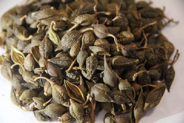 中醫(yī)拔罐減肥如何區(qū)分刮罐和點(diǎn)罐