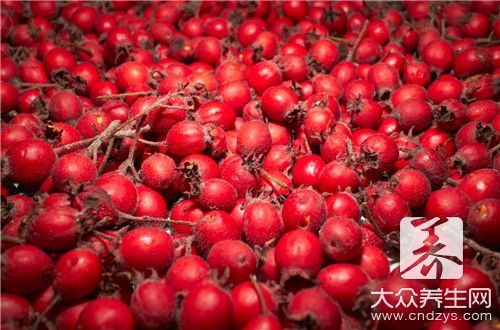 山楂片泡水的功效與作用及禁忌