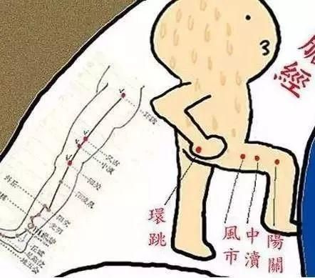 這條經(jīng)絡很神奇，每天敲50下，補氣血、減肥、又排毒！