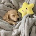 https://p0.meituan.net/icons/1736a73b2057004fd81947b91798a491103337.jpg%40120w_120h_1e_1c_1l%7Cwatermark%3D0