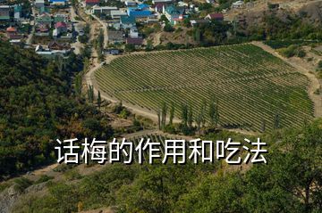 話梅的作用和吃法