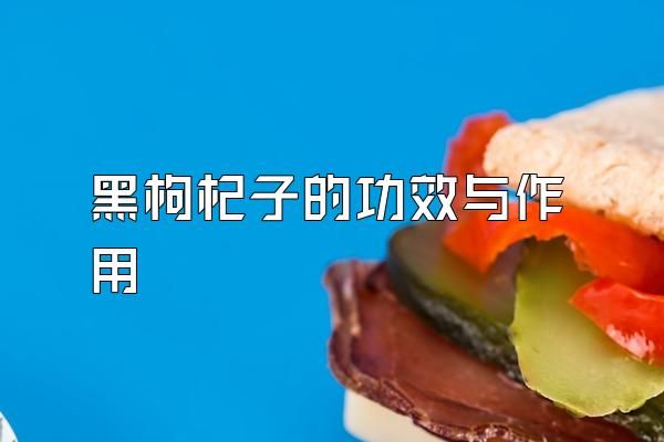 黑枸杞子的功效與作用