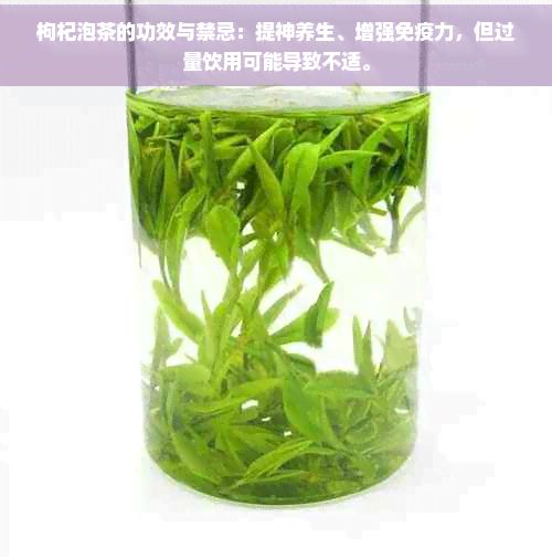 枸杞泡茶的功效與禁忌：提神養(yǎng)生、增強(qiáng)免疫力，但過量飲用可能導(dǎo)致不適。