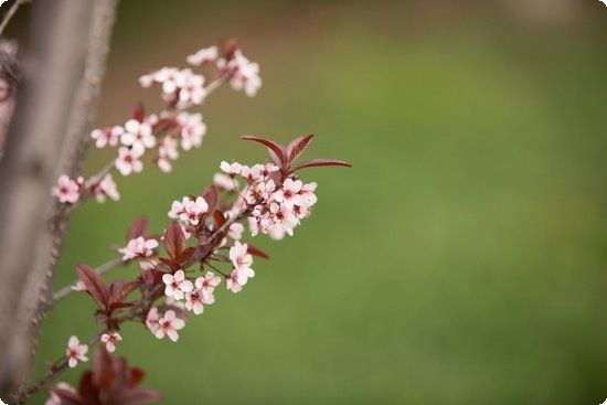 节食减肥导致闭经怎么办？节食不是达到理想体重的健康路径