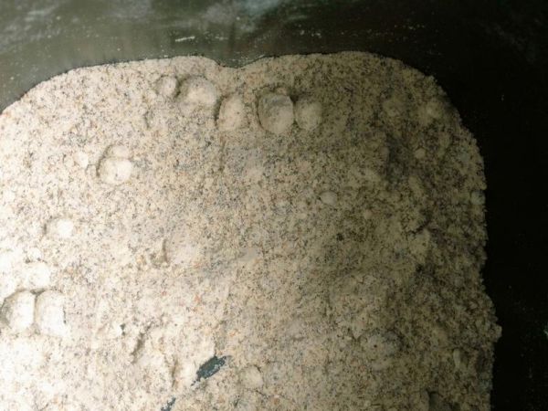 純奶手撕吐司的做法 步驟1