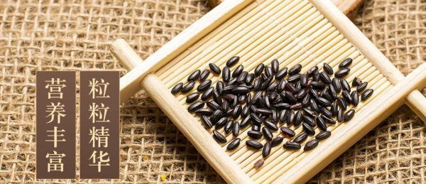黑米的產(chǎn)地與特色剖析（品嘗黑米）