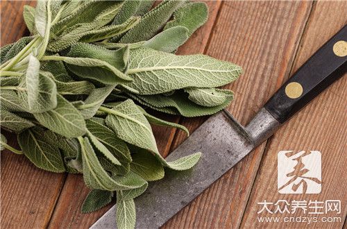 薄荷功效與作用禁忌癥