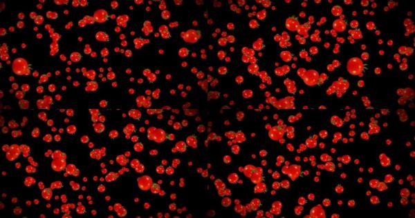 在黑色背景上飞行许多新鲜西红柿。有机蔬菜。成熟多汁的樱桃番茄。番茄旋转的3D循环动画。