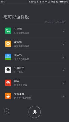 語音識別設(shè)置軟件 v1.0.27 安卓版 0