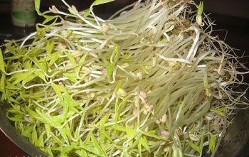 7種秋冬減肥蔬菜食譜 享瘦體重享受營養(yǎng)好滋味