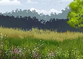 有沒有快速減肥方法