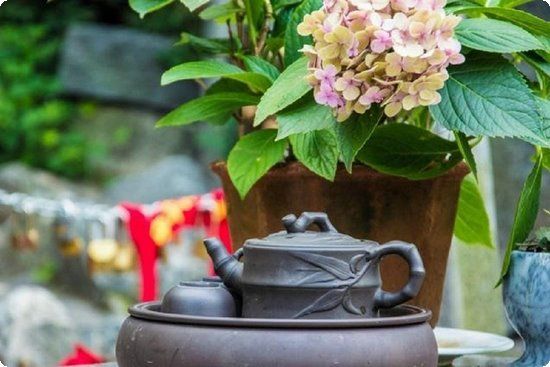 香蕉醋能減肥,香蕉醋減肥法有副作用?健康減肥才科學(xué)?