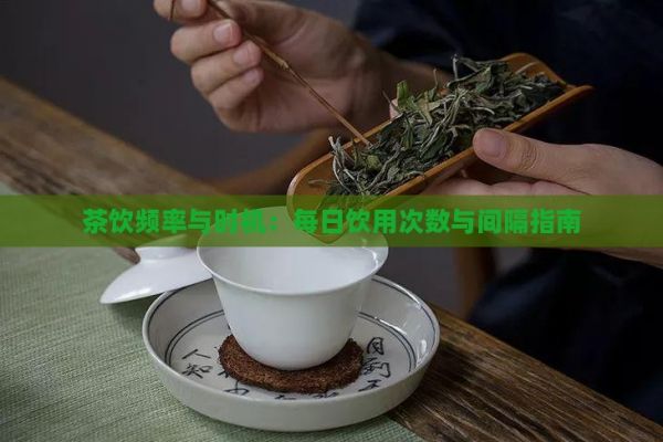 茶飲頻率與時機：每日飲用次數(shù)與間隔指南