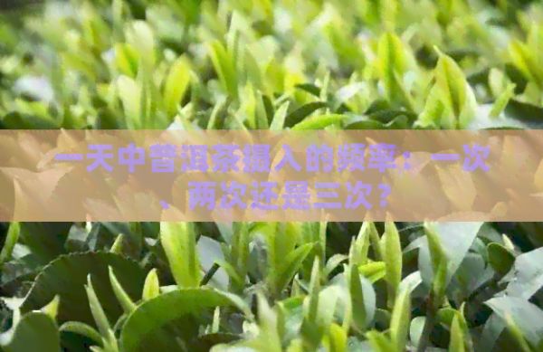 一天中普洱茶摄入的频率：一次、两次还是三次？