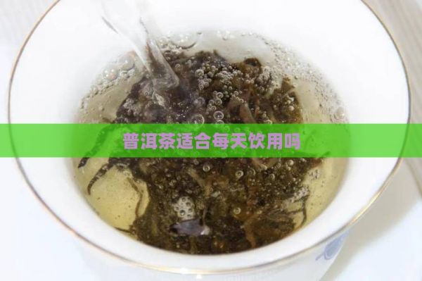 普洱茶适合每天饮用吗