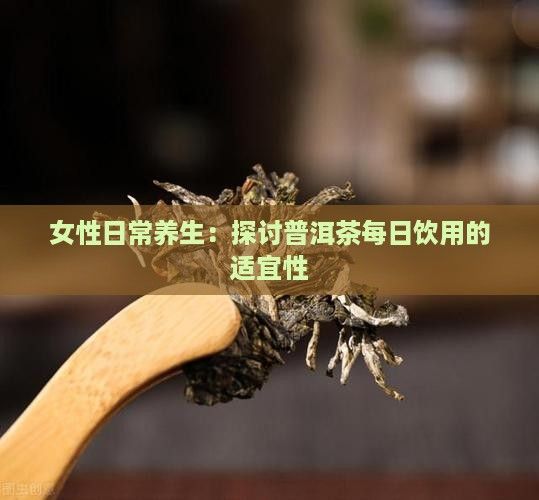 女性日常养生：探讨普洱茶每日饮用的适宜性