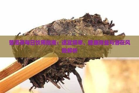普洱茶每日飲用指南：適宜頻率、健康效益與潛在風(fēng)險(xiǎn)解析