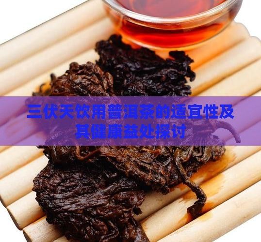三伏天飲用普洱茶的適宜性及其健康益處探討