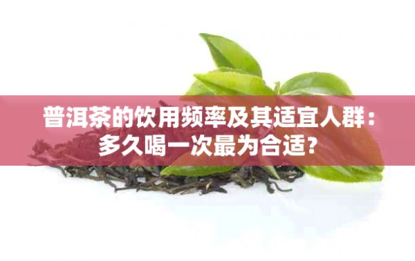 普洱茶的飲用頻率及其適宜人群：多久喝一次最為合適？