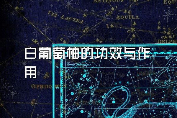 白葡萄柚的功效與作用