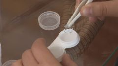 什么時(shí)候不宜配戴隱形眼鏡