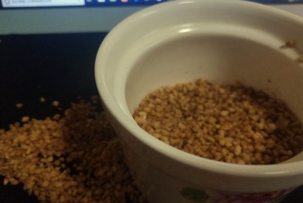 浓香苦荞搭配蒲根，变成健康减肥茶3