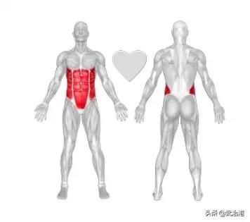 日常緩解腰痛方法——核心肌群的鍛煉