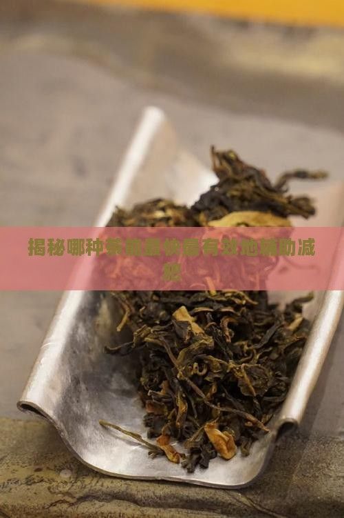 揭秘哪種茶能最快最有效地輔助減肥