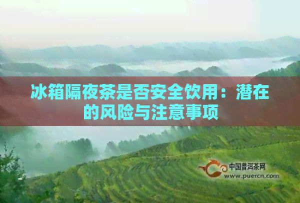 冰箱隔夜茶是否安全飲用：潛在的風(fēng)險(xiǎn)與注意事項(xiàng)