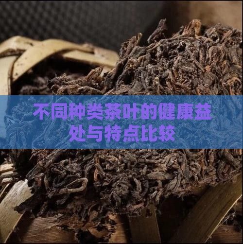 不同种类茶叶的健康益处与特点比较