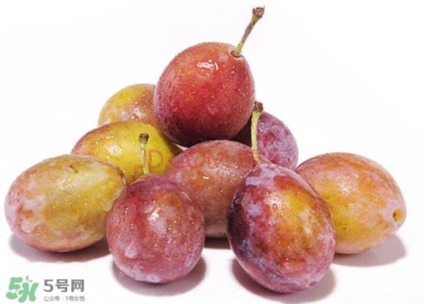西梅汁怎么做？西梅汁的功效與作用