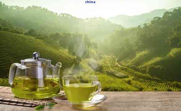 利于减肥消脂的茶，喝出完美身材！推荐几款利于减肥消脂的茶