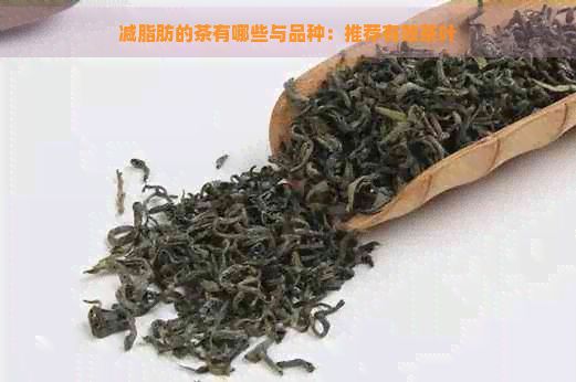 減脂肪的茶有哪些與品種：推薦有效茶葉