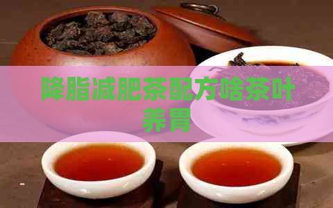 降脂减肥茶配方啥茶叶养胃