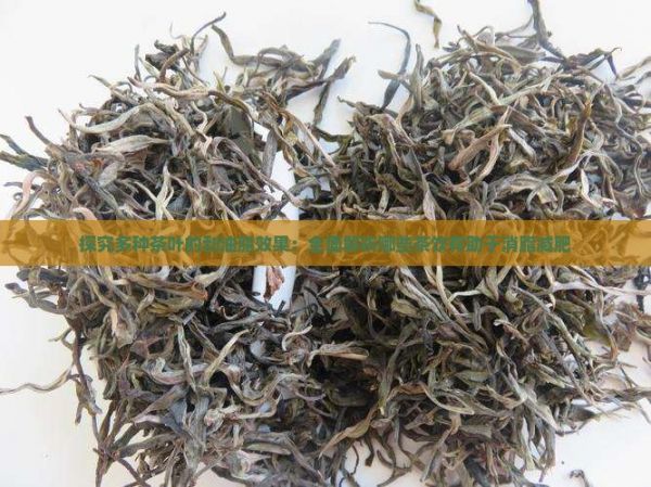 探究多種茶葉的刮油脂效果：全面解析哪些茶飲有助于消脂減肥