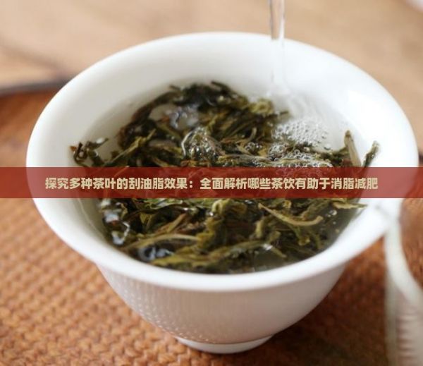 探究多種茶葉的刮油脂效果：全面解析哪些茶飲有助于消脂減肥