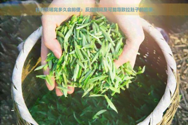 纖纖茶喝完多久會排便：反應時間及可能導致拉肚子的因素