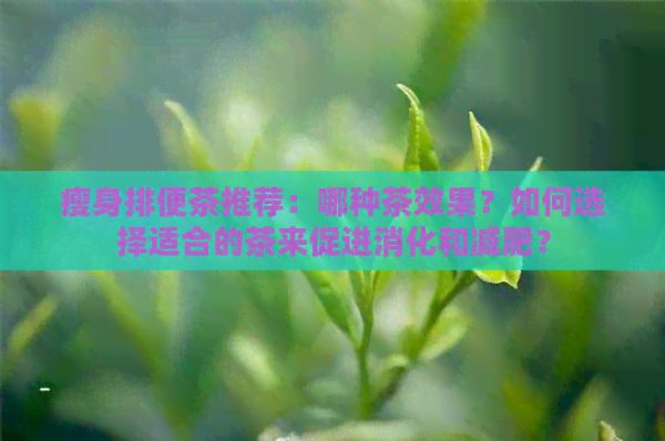 瘦身排便茶推薦：哪種茶效果？如何選擇適合的茶來促進(jìn)消化和減肥？