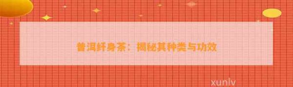 普洱纖身茶：揭秘其種類與功效