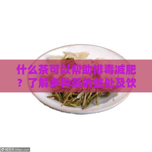 什么茶可以幫助排減肥？了解多種茶的益處及飲用方法