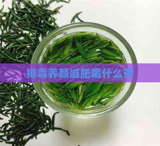 排养颜减肥喝什么茶