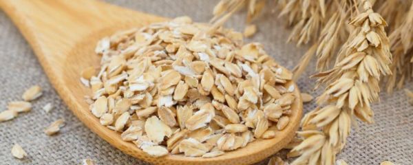 冬天要如何減肥 哪些減肥食物熱量較低 冬天減肥吃什么好