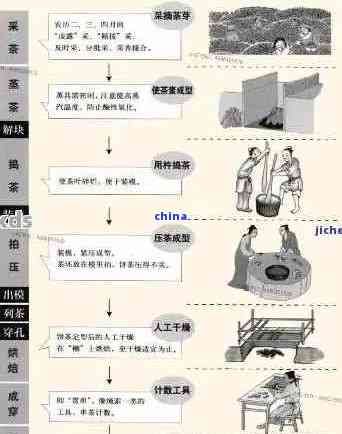 普洱茶生产工艺流程，朋友圈文案分享。