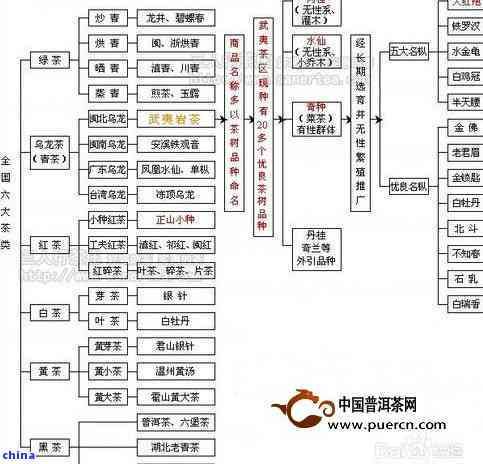 青茶加工工藝步驟：詳解從采摘到制成的基本過程及流程圖
