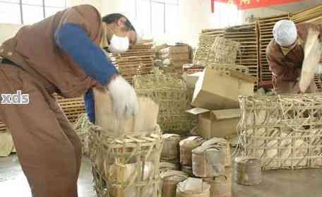 新 探究普洱茶的制作工艺：如何从新茶叶变为干毛茶？