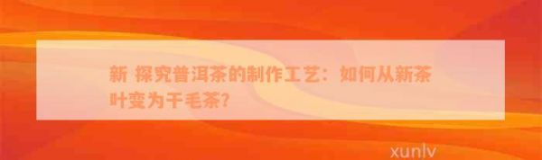 新 探究普洱茶的制作工艺：如何从新茶叶变为干毛茶？