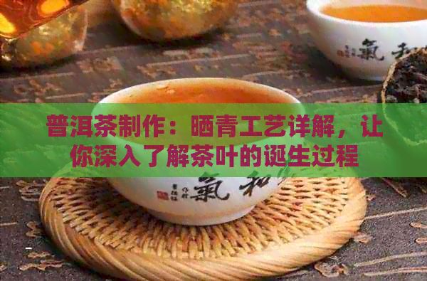 普洱茶制作：曬青工藝詳解，讓你深入了解茶葉的誕生過程