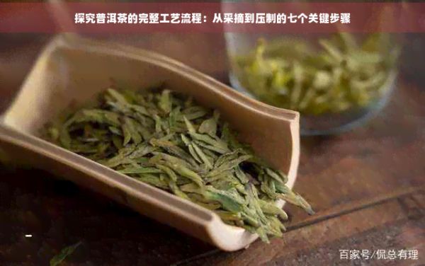 探究普洱茶的完整工藝流程：從采摘到壓制的七個(gè)關(guān)鍵步驟